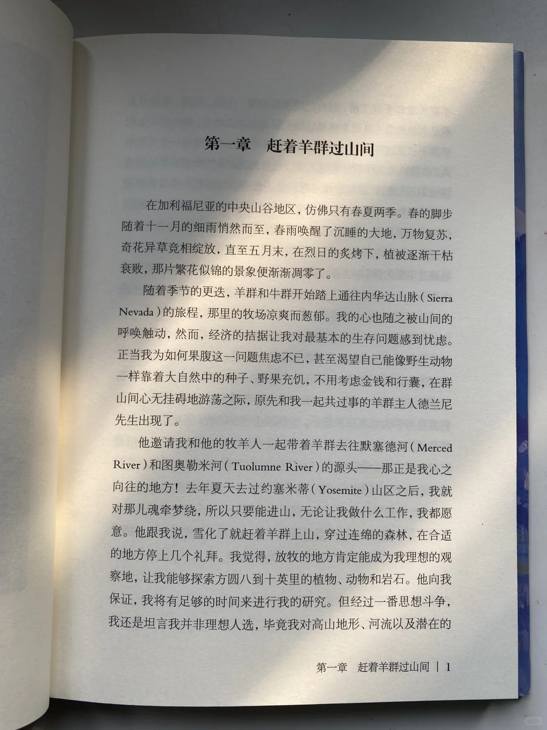 INFJ的命定之书！读完灵魂都在发光🔮