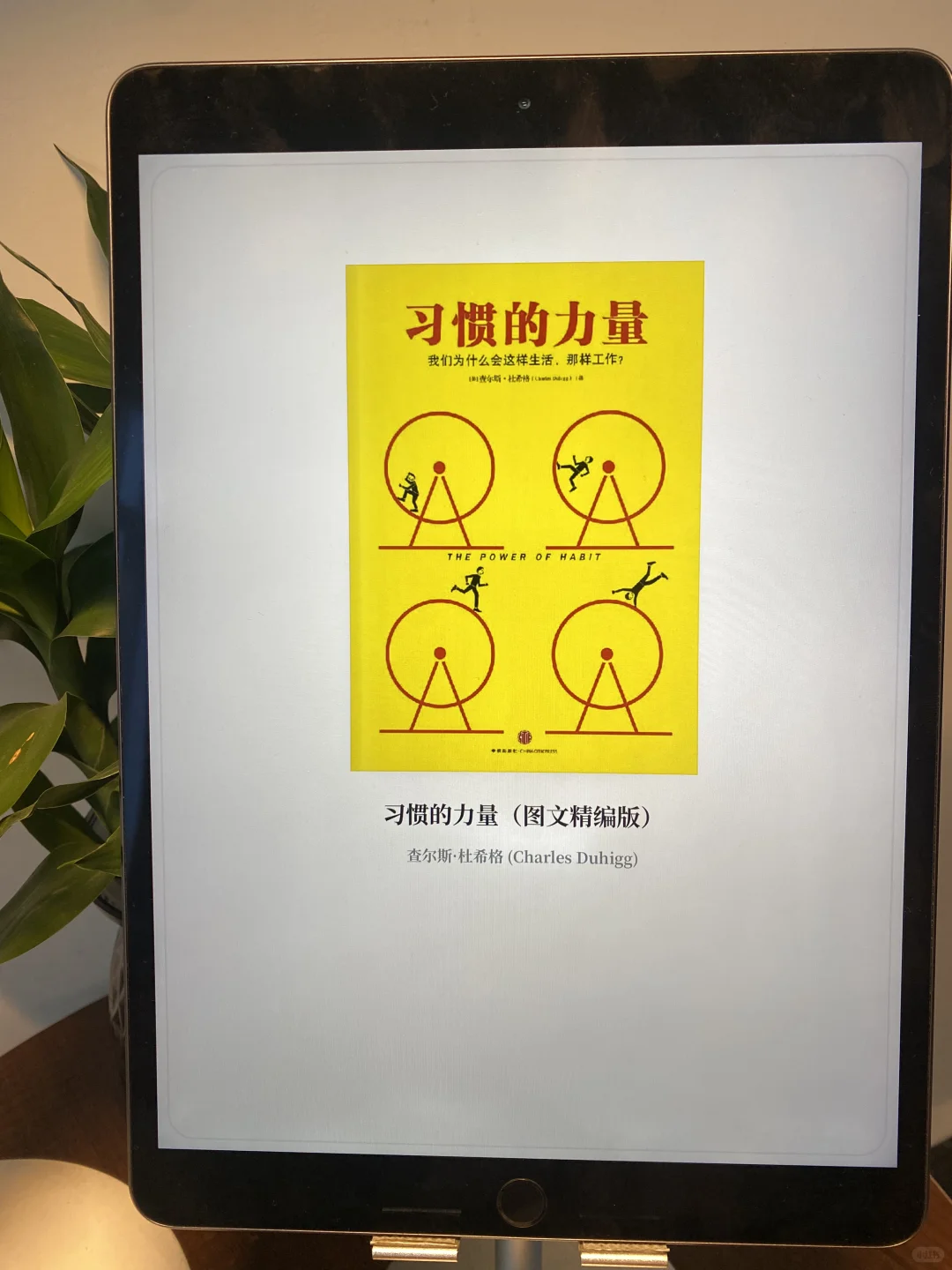 感谢🙏小红书让我实现电子书自由📒