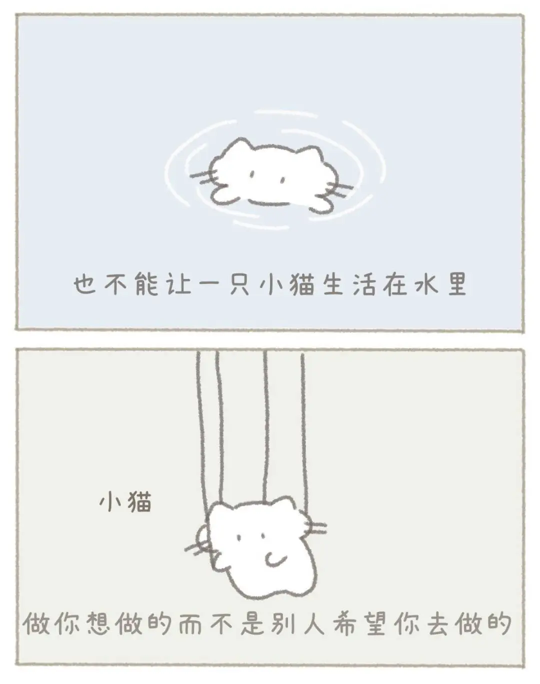 小猫的第一本书出版啦！！！🐱