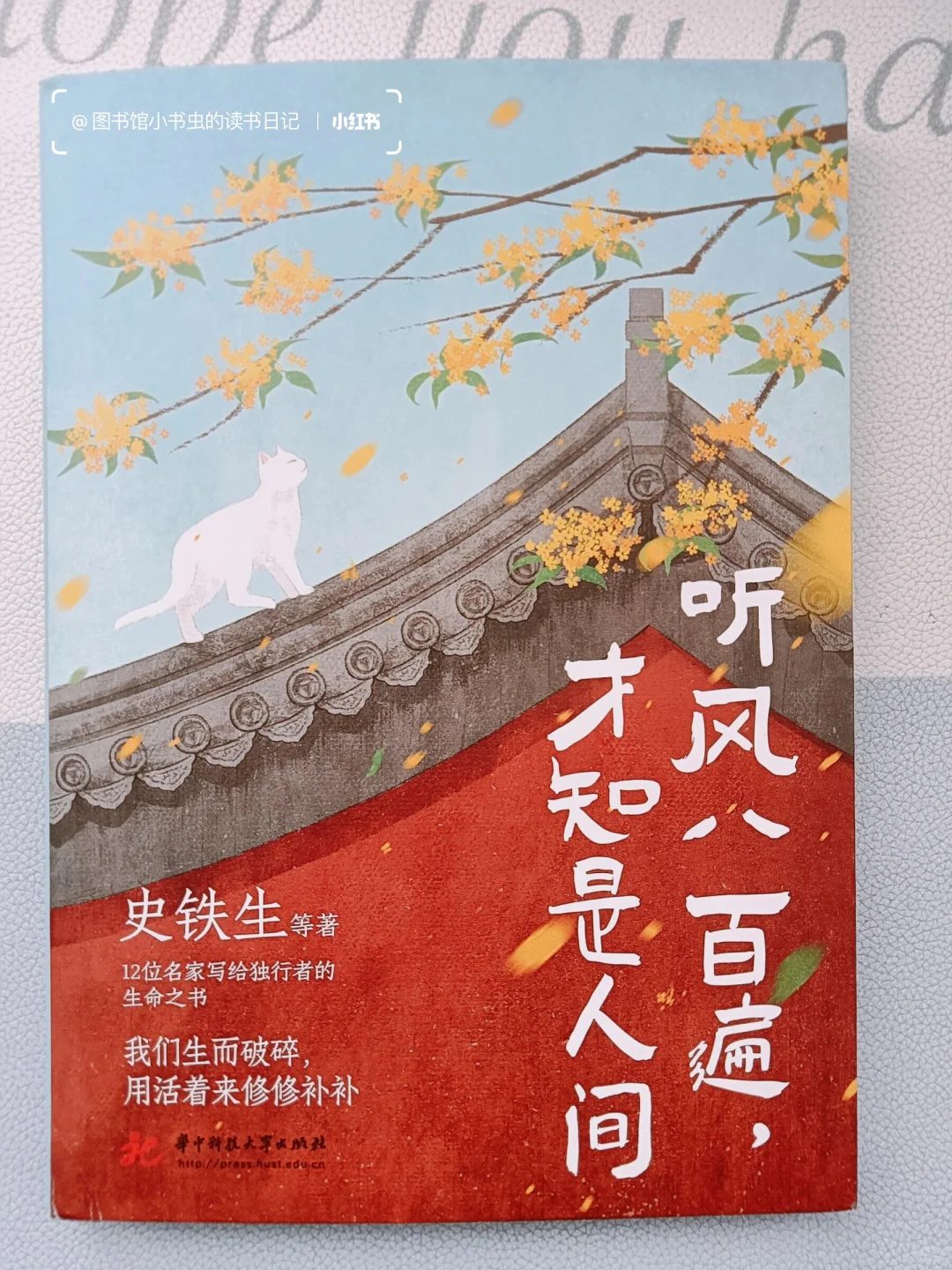 翻烂这八本书📚初中生文笔瞬间脱胎换骨❗️