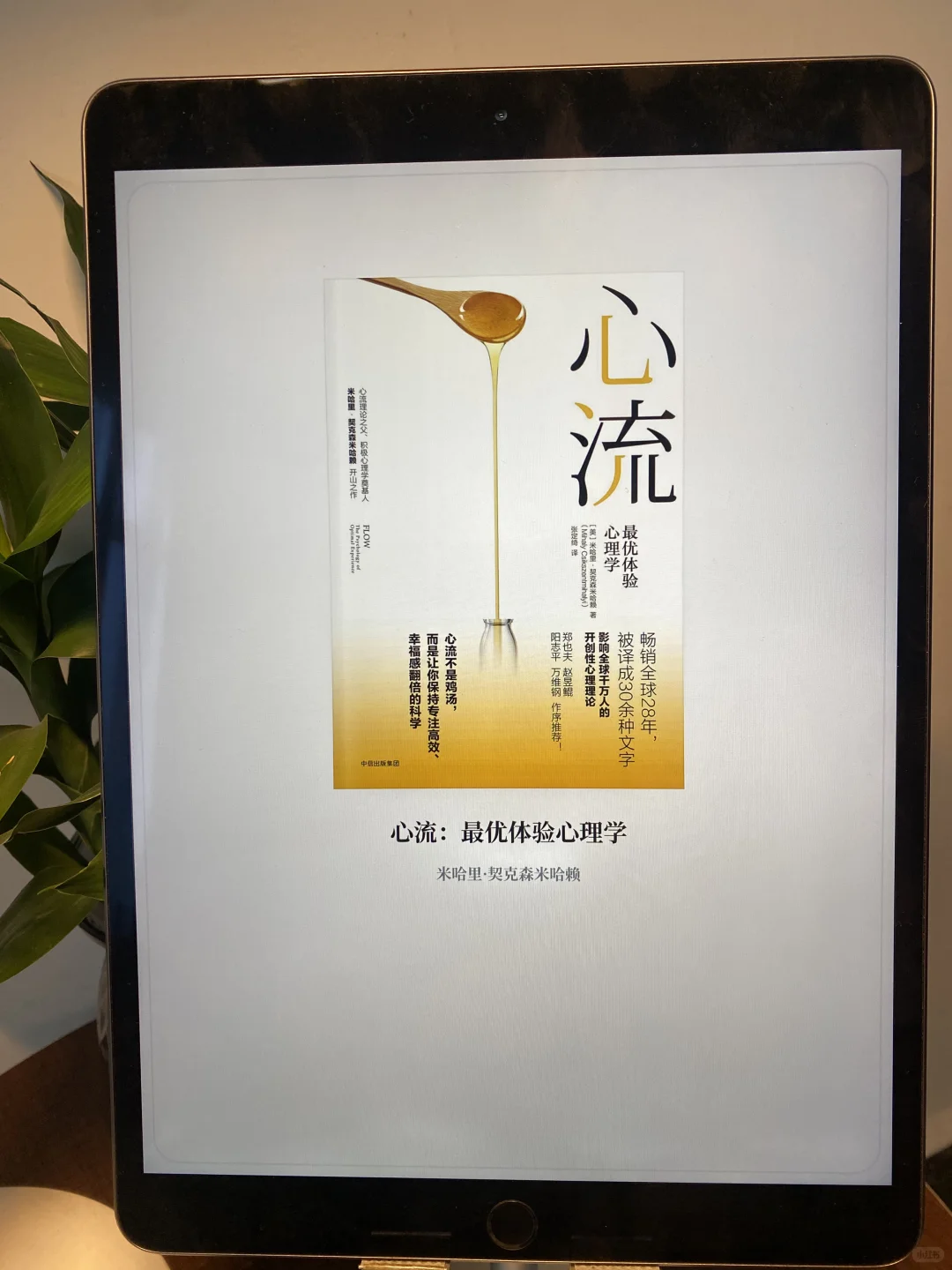 感谢🙏小红书让我实现电子书自由📒