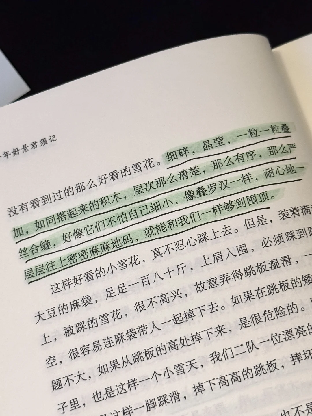 文笔美到心颤❗️恨不得全文摘抄背诵❗️