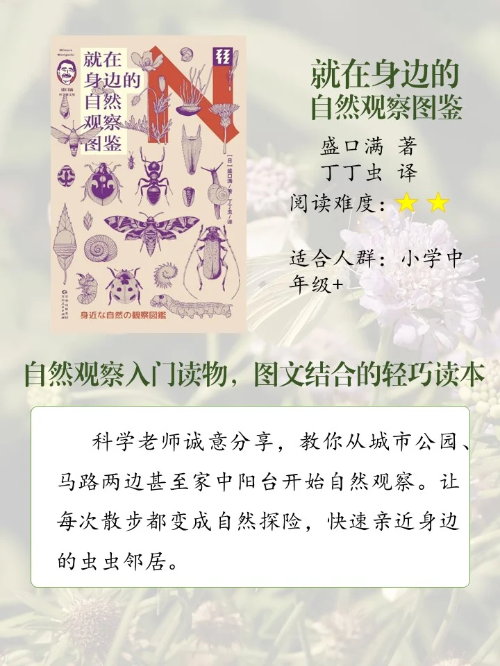 喜欢昆虫的娃必读的10本书
