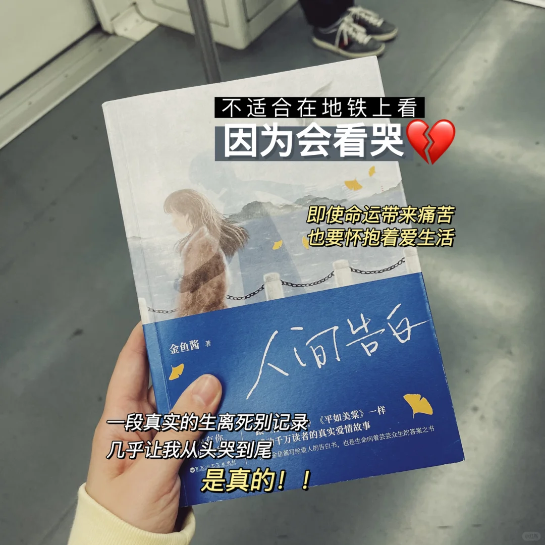 在地铁里读书，打工人心灵的OK绷🩹