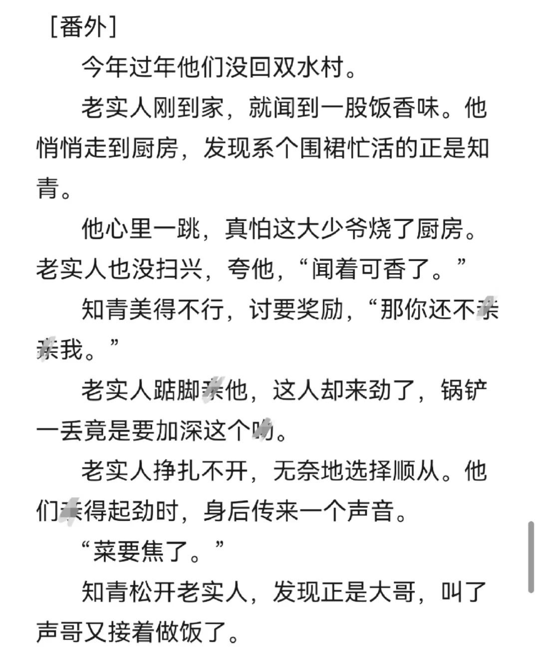 不要欺负年代文里的老实人啊（完/番外）