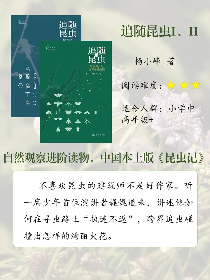 喜欢昆虫的娃必读的10本书