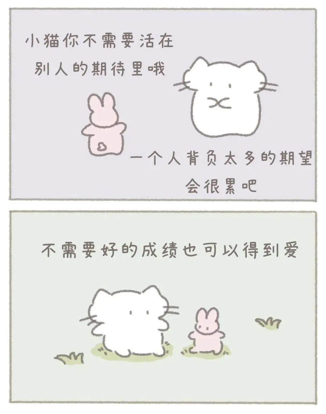 小猫的第一本书出版啦！！！🐱