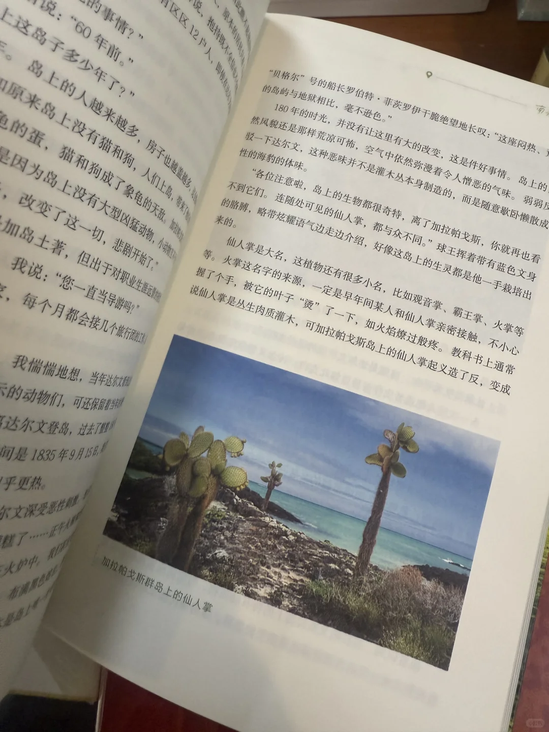 🌟【人生是旷野啊】读后感｜迷茫时必读，治愈