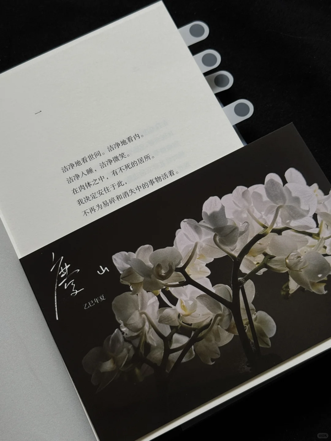 今年读到文笔很绝的一本书，没有之一。