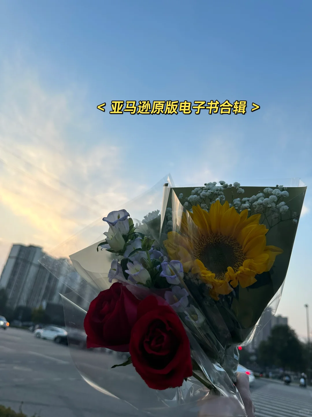 亚马逊原版电子书合辑