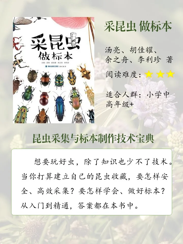 喜欢昆虫的娃必读的10本书