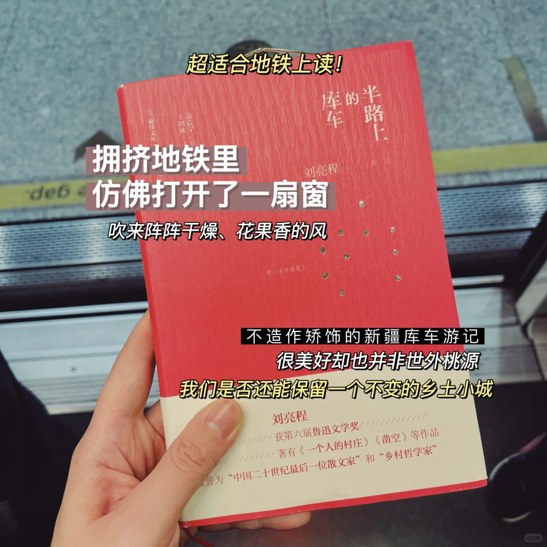 在地铁里读书，打工人心灵的OK绷🩹