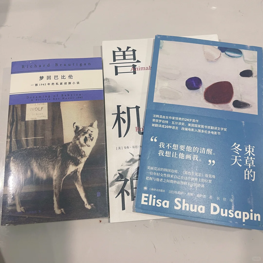 六月买的书竟然都是通勤圣体