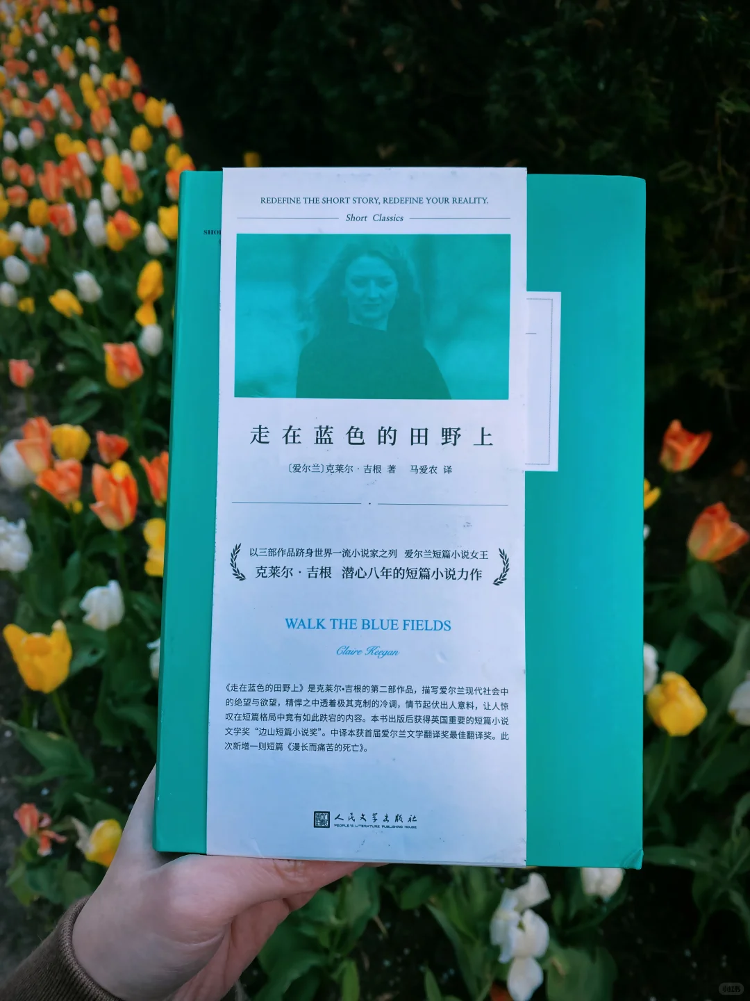 全世界最高质量的短篇小说都在这里了！
