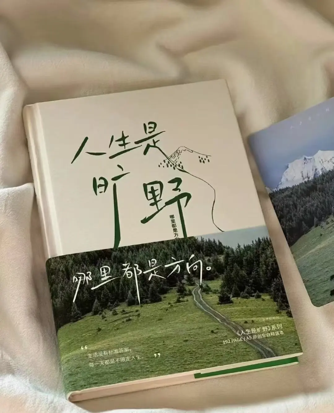 妈妈人生是旷野啊！！！！！！