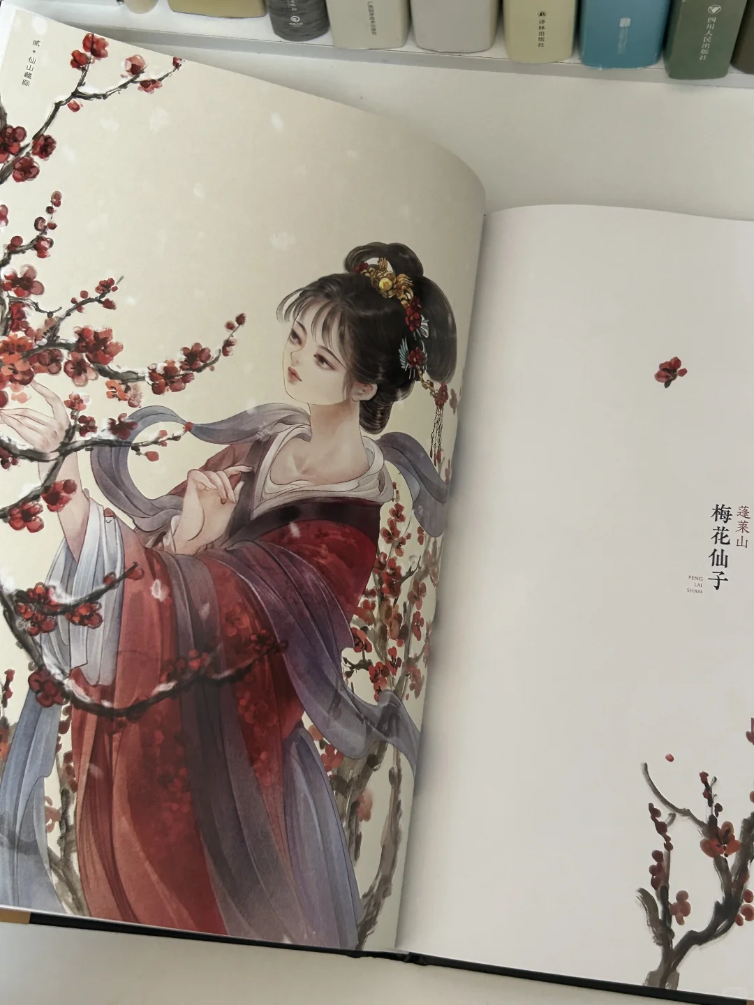 中式美学❗️绝美的神仙画册‼️