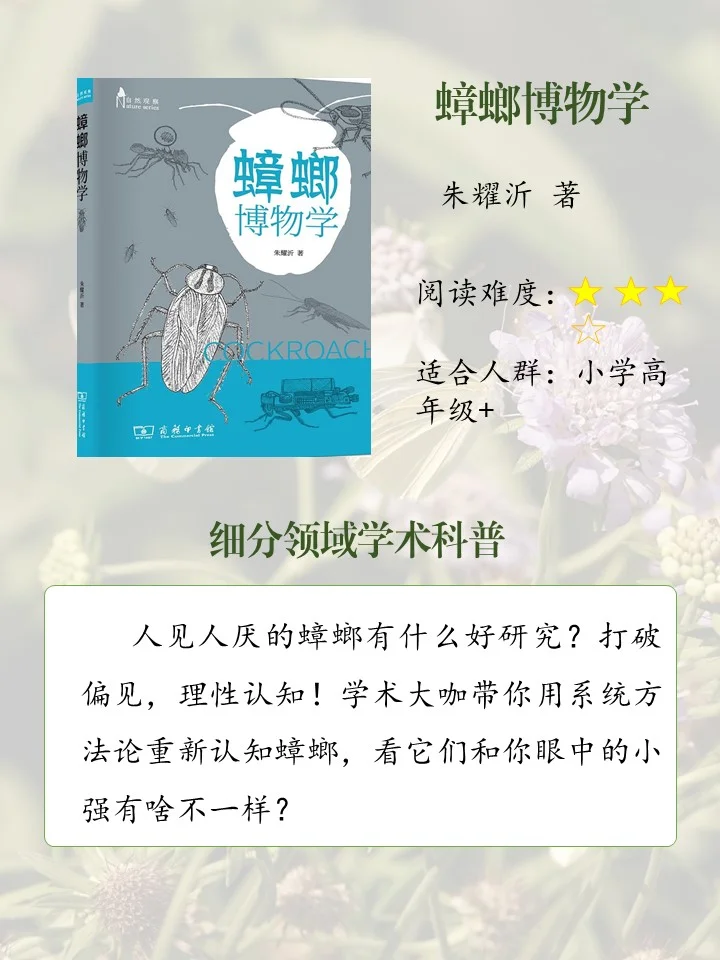 喜欢昆虫的娃必读的10本书