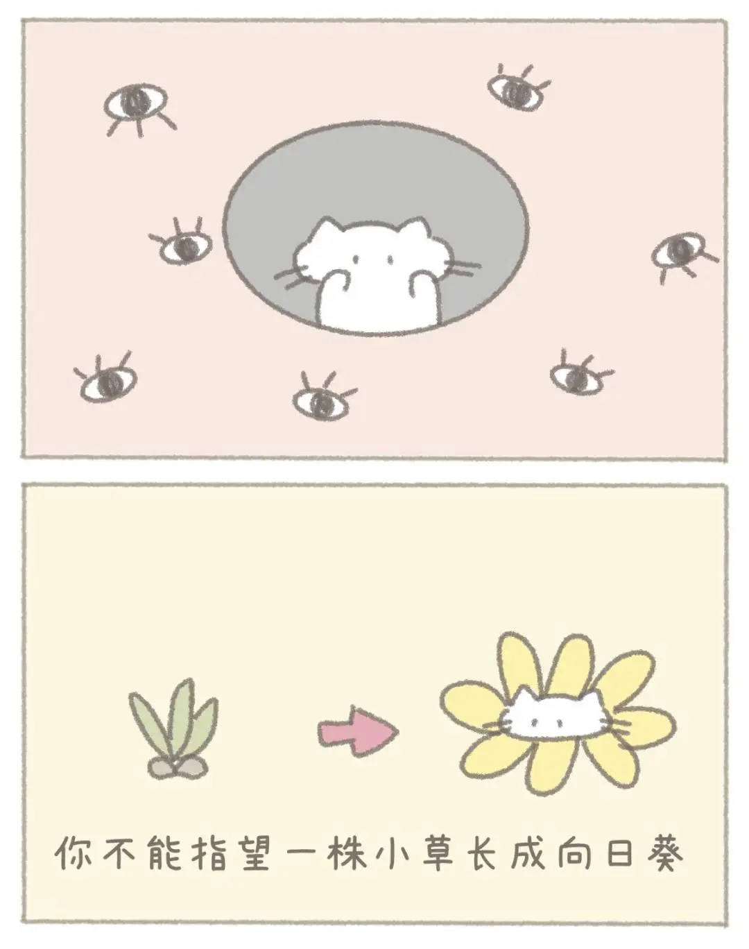 小猫的第一本书出版啦！！！🐱