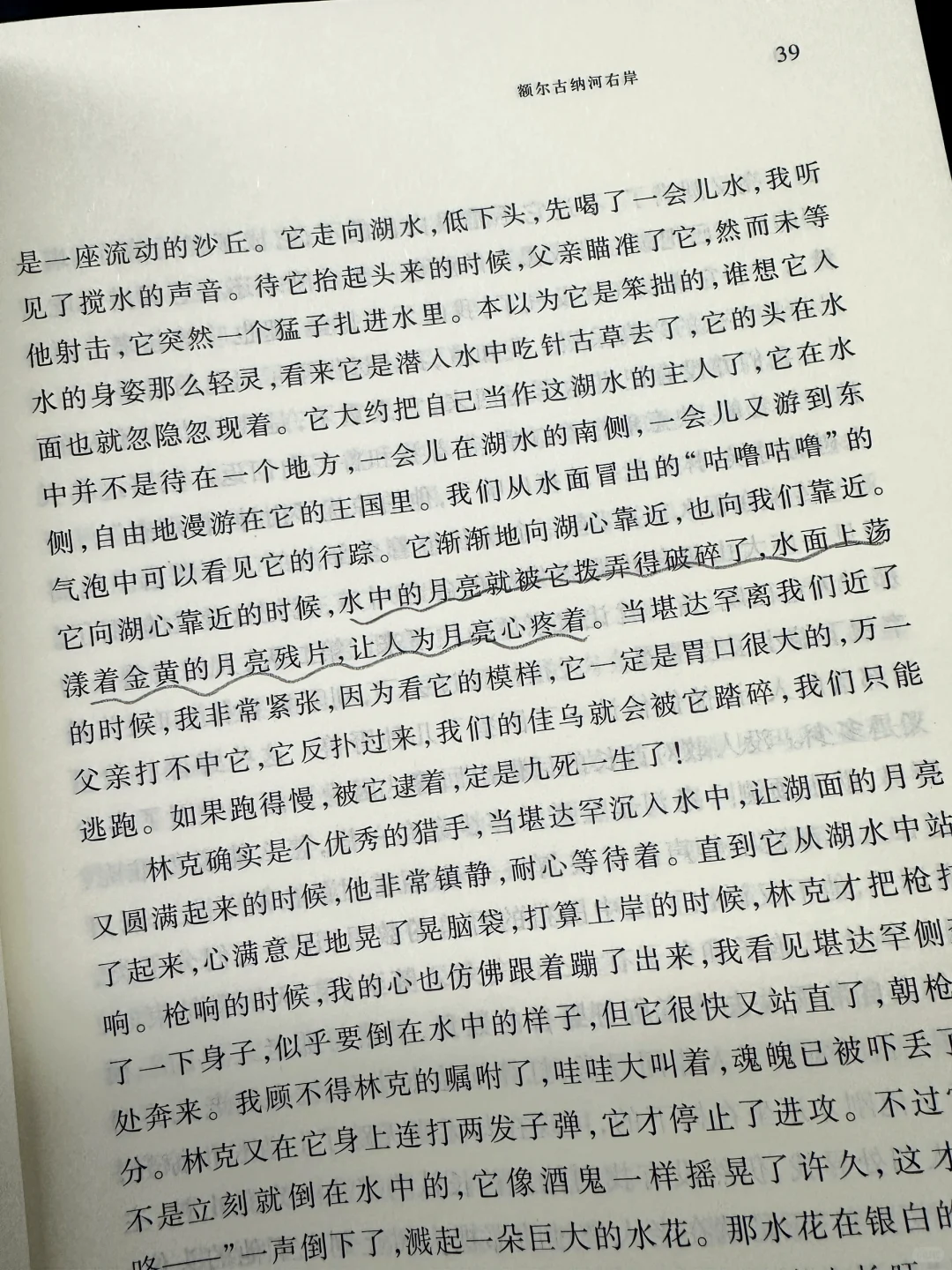 我宣布，通勤路上看书就是最爽的！