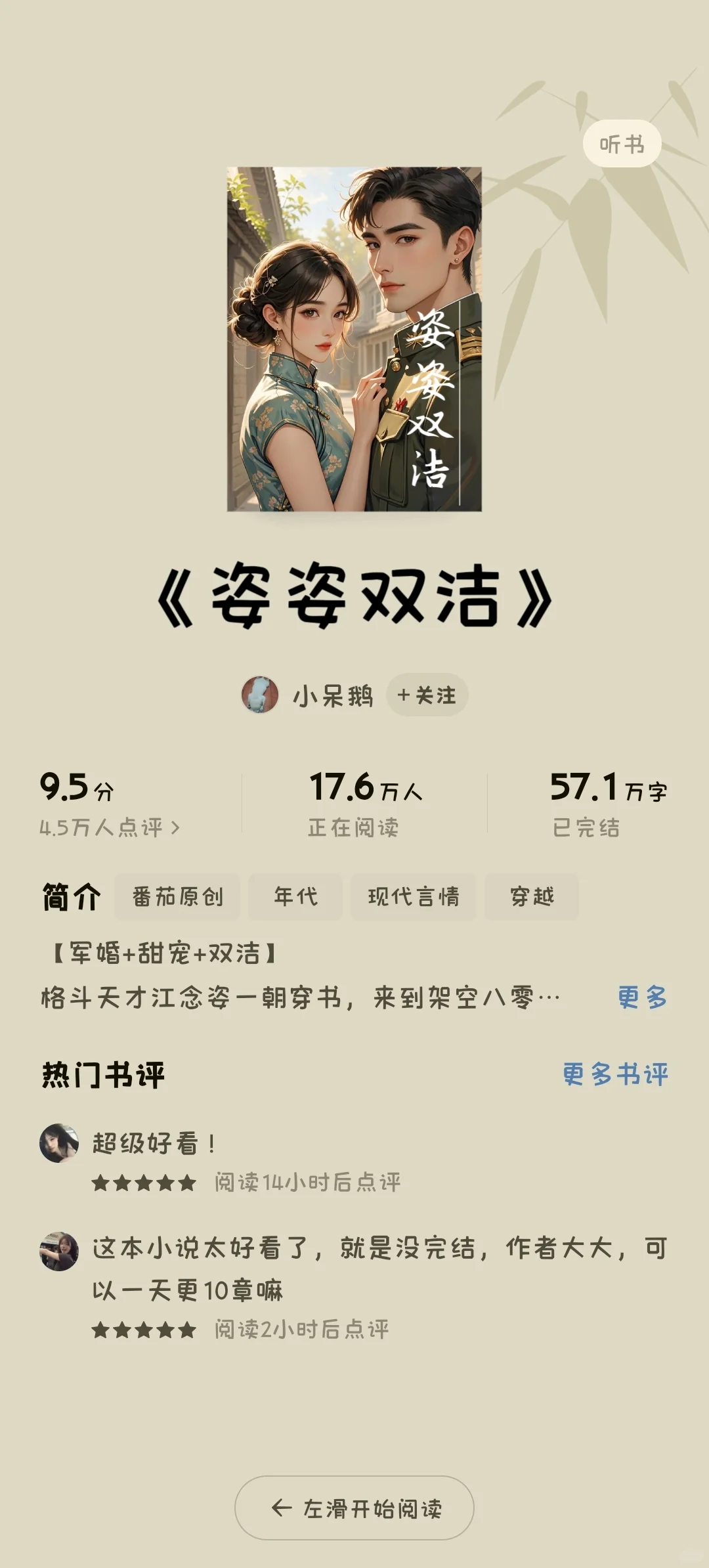 年代甜宠文