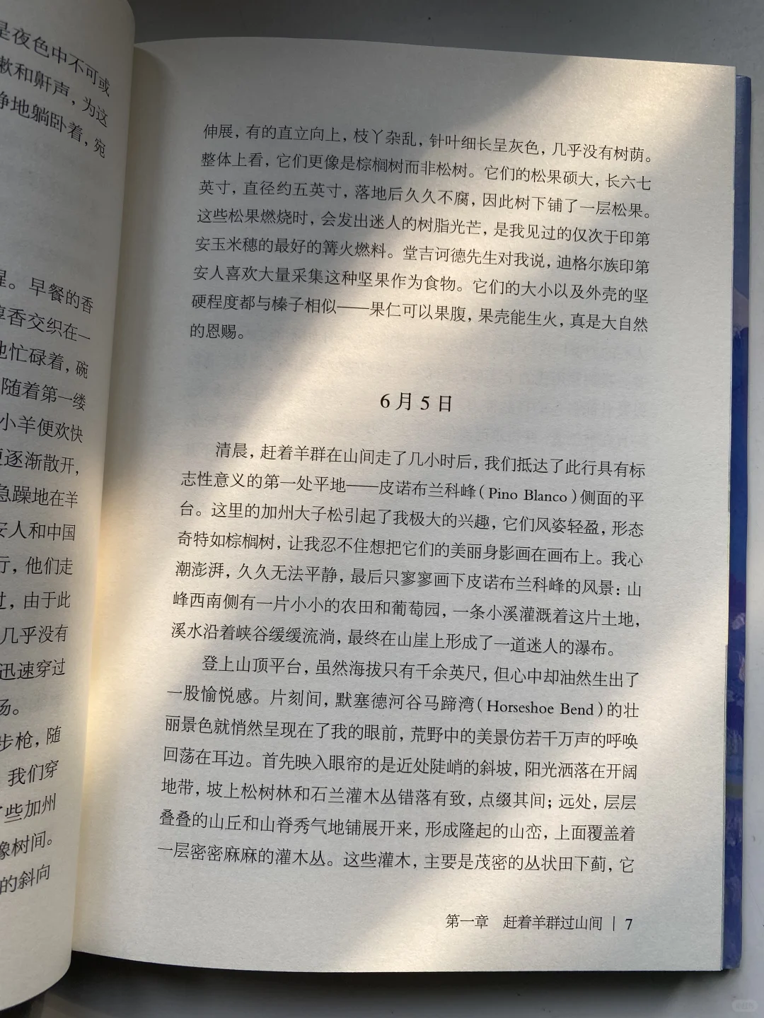 INFJ的命定之书！读完灵魂都在发光🔮