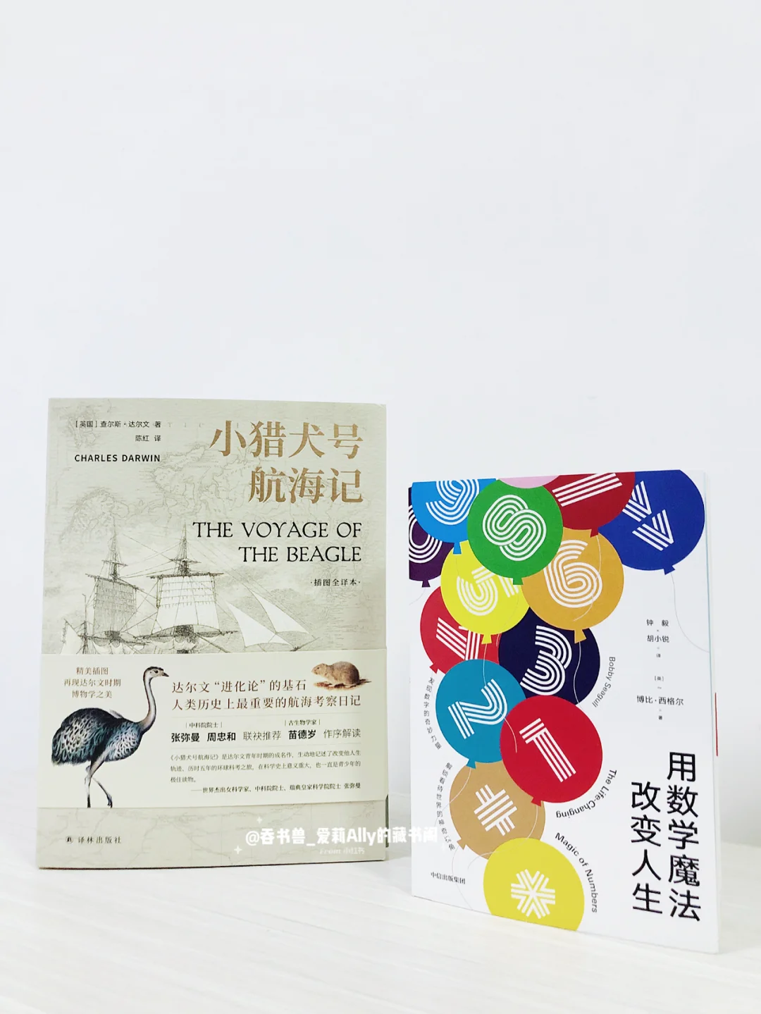 八月书单|读书打卡|自律从定量阅读开始‼️