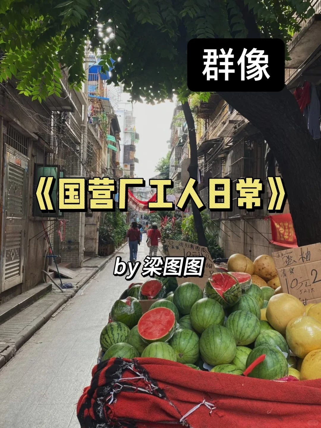 大家可千万不要放过这本年代文啊！