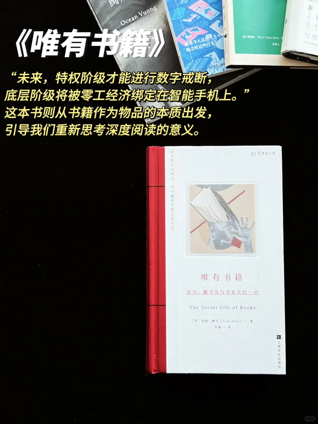 我的口袋书📚12月通勤书单，巴掌大的快乐