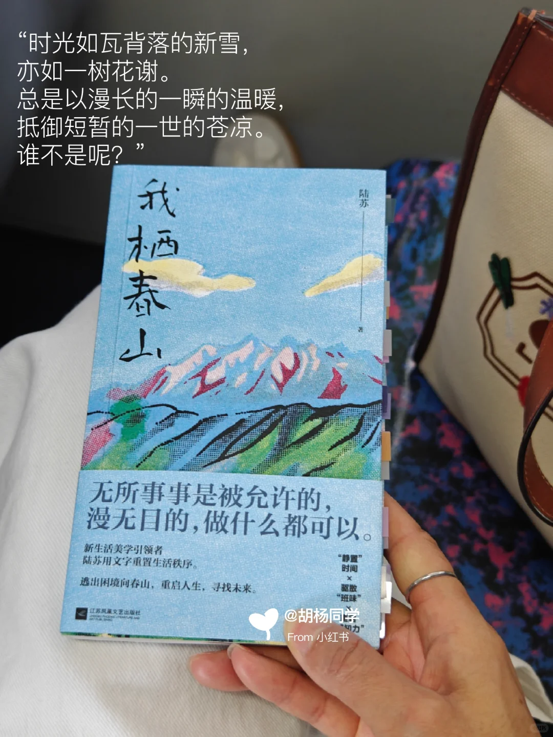 打工人通勤书单 | 当我在路上不停读书3