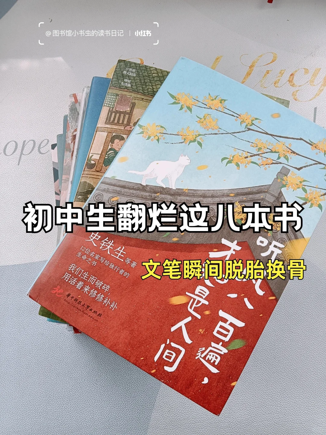 翻烂这八本书📚初中生文笔瞬间脱胎换骨❗️
