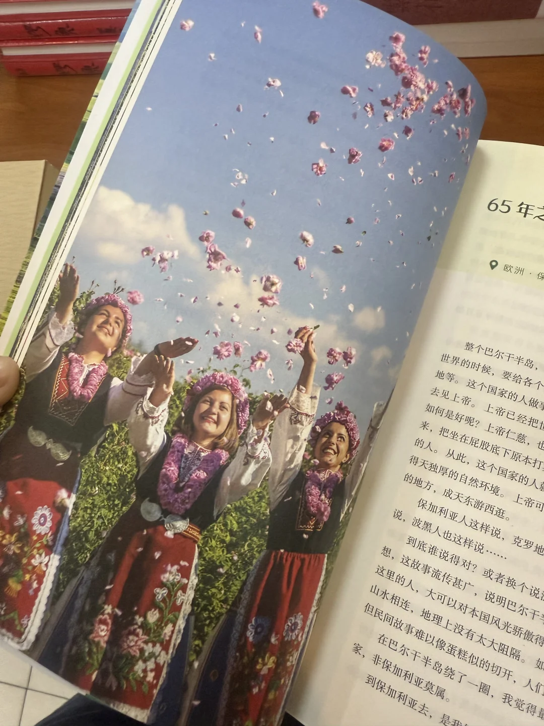 🌟【人生是旷野啊】读后感｜迷茫时必读，治愈