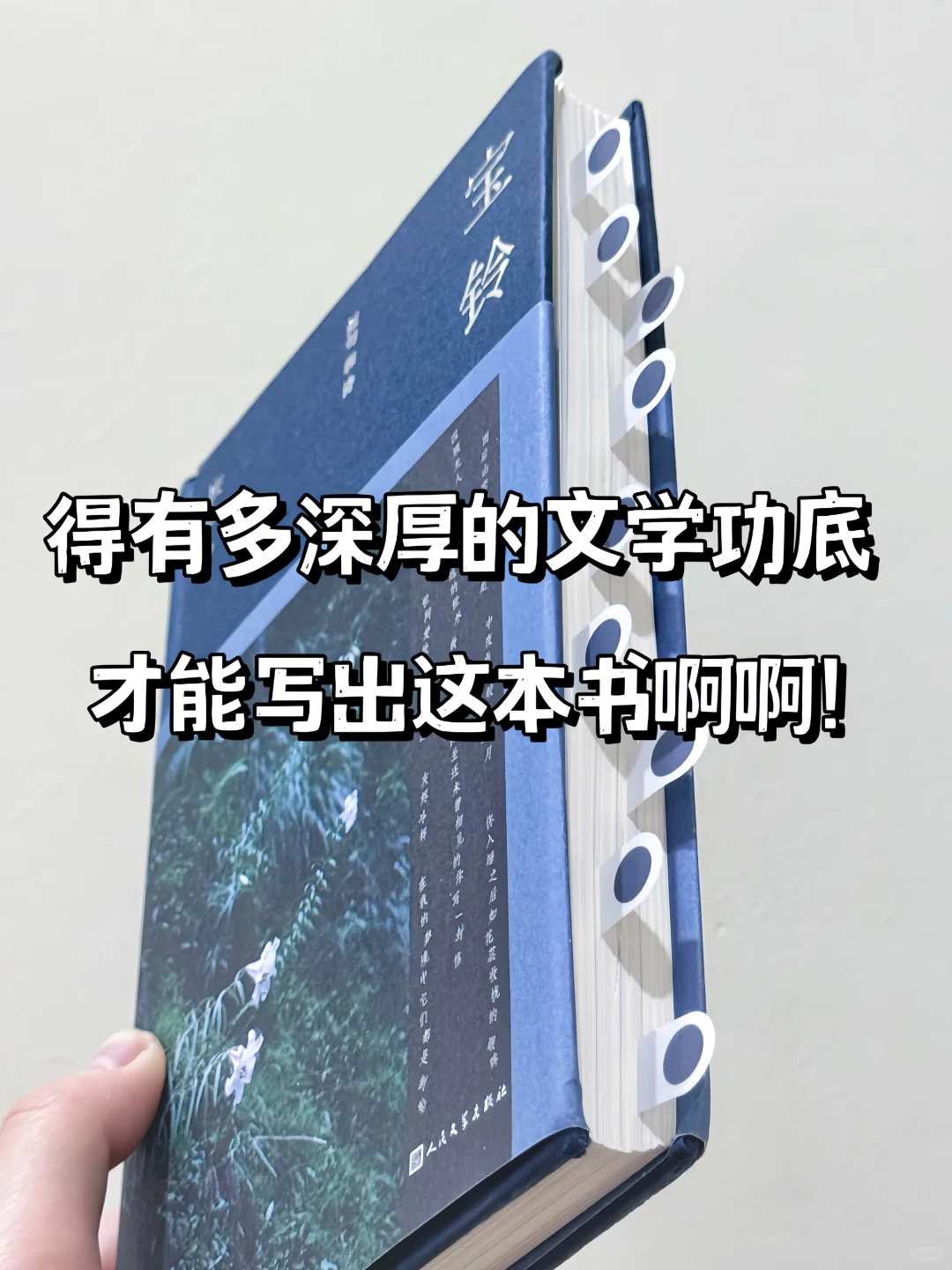 今年读到文笔很绝的一本书，没有之一。