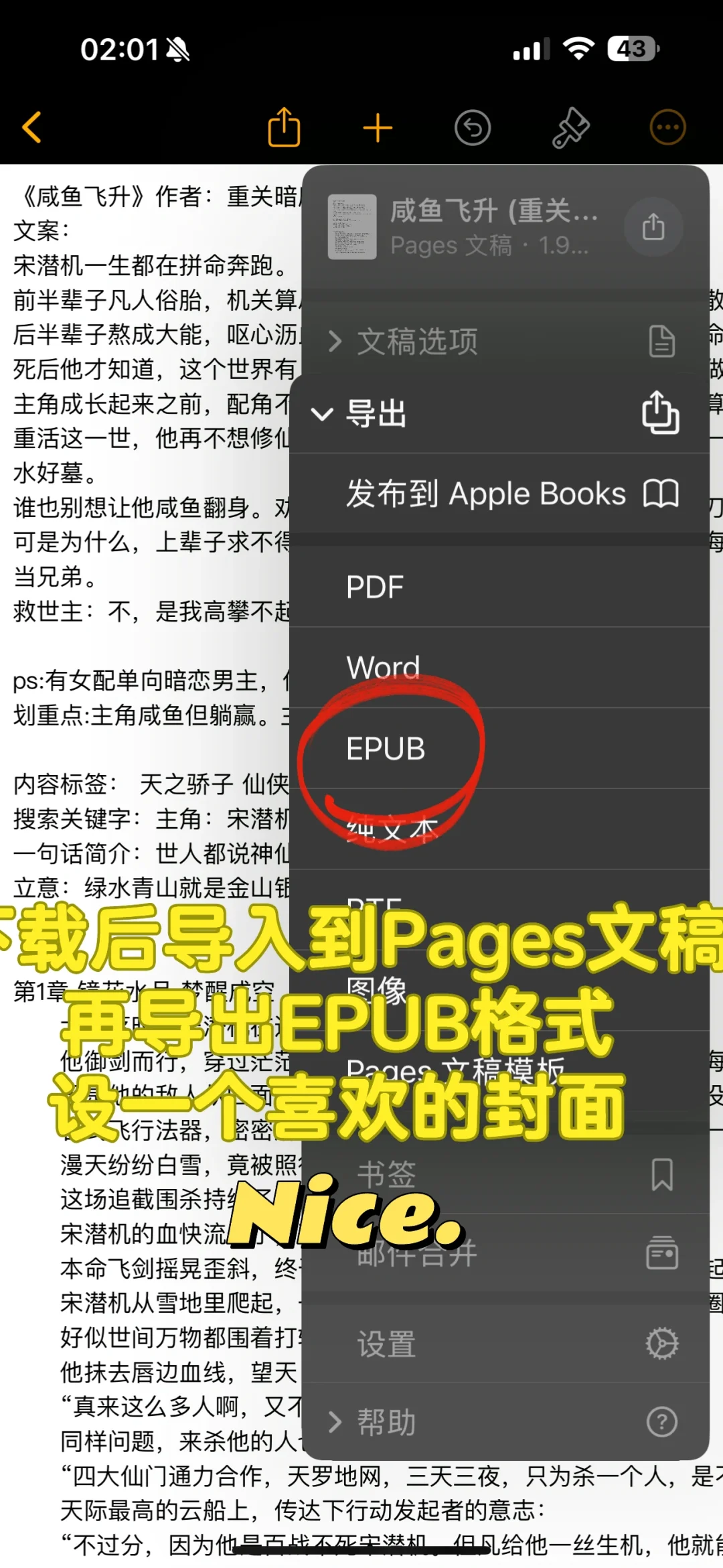 Txt转换格式成功，kindle可以看咸鱼飞升啦