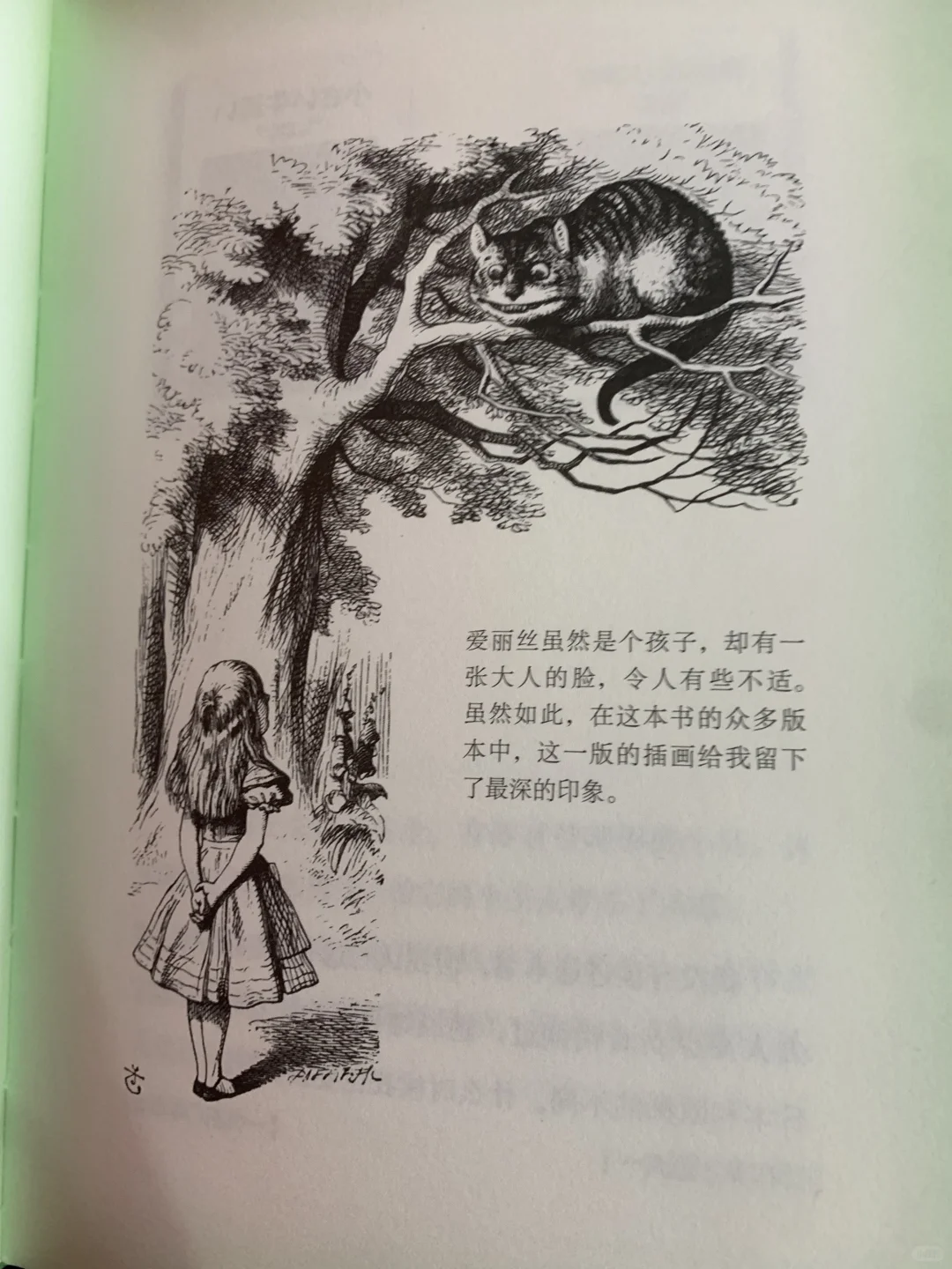 📚《有书真好啊》宫崎骏亲笔推荐‼️