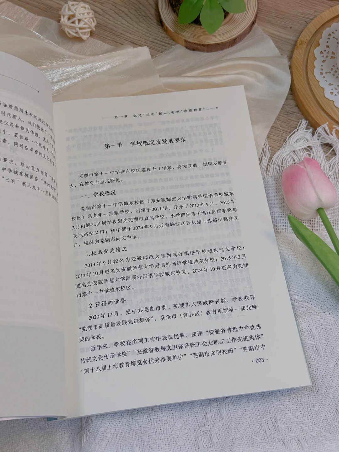 【新书推荐】净雅教育：奠基学生成长