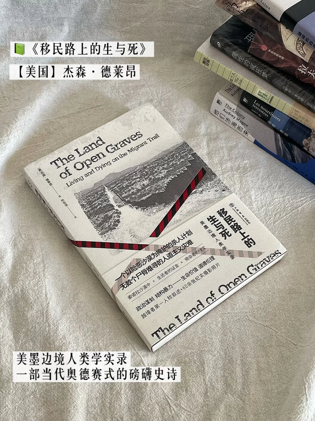 八月书单｜水灵灵的第一版印刷新书🤗