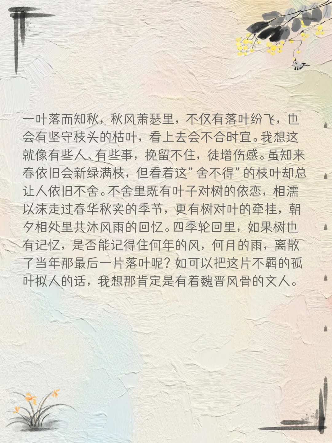 🌳散文朵朵‖原创 沧海一笑经阁舞