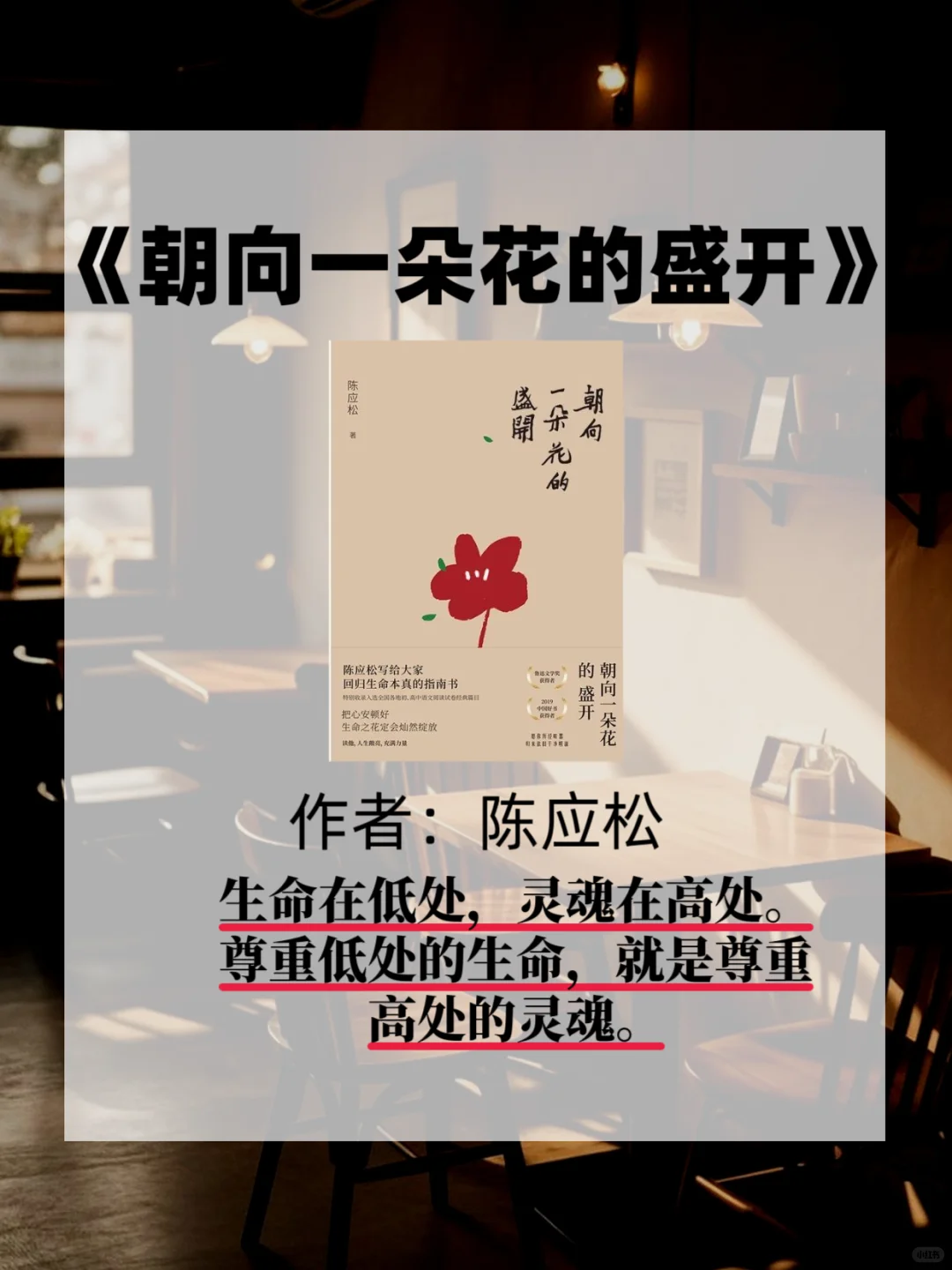 女生这9本书📚往烂了读气质变得落落大方