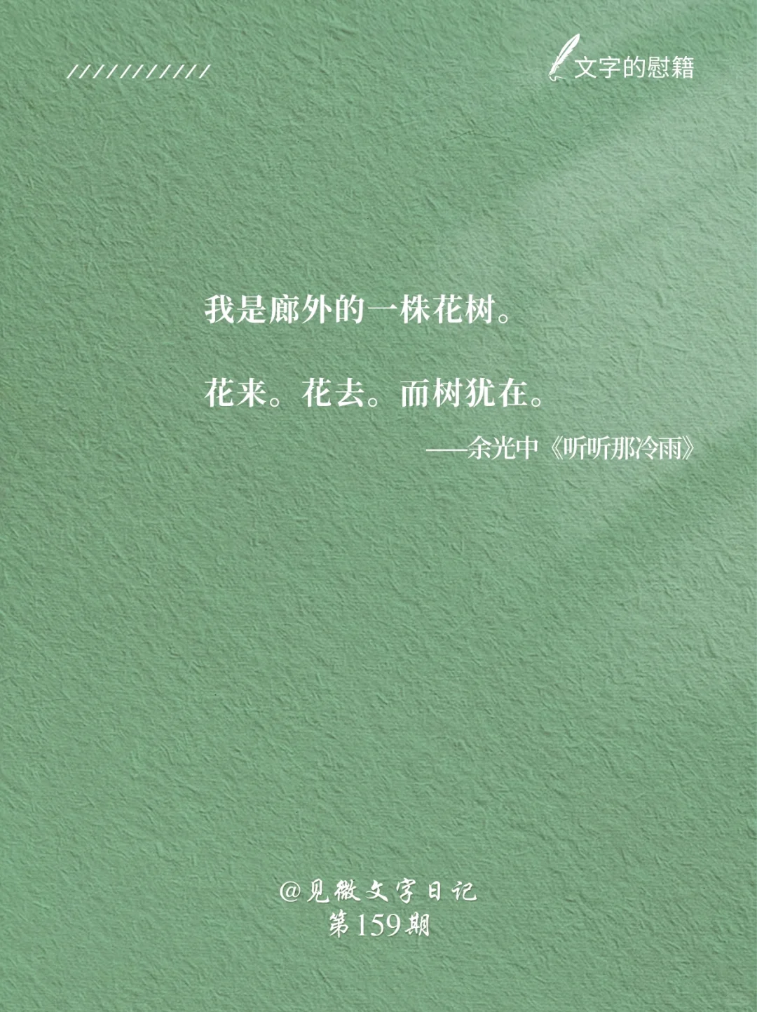 《听听那冷雨》｜余光中的文字真美呀🥹