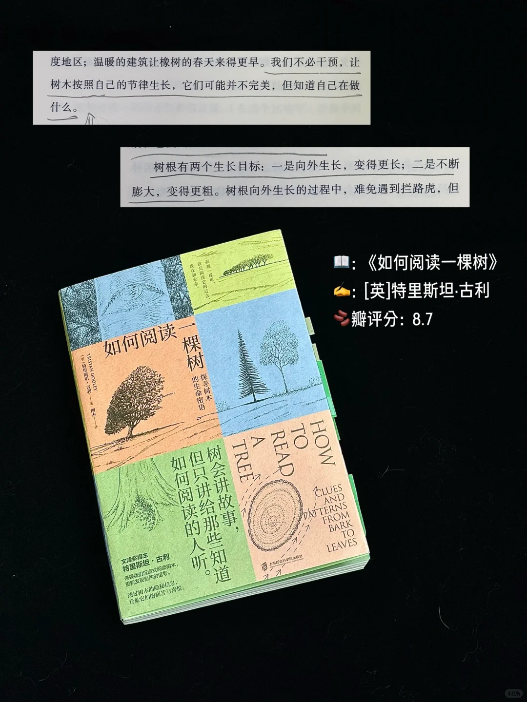 书单｜太细腻了 台湾文学真的很会治愈人🥲