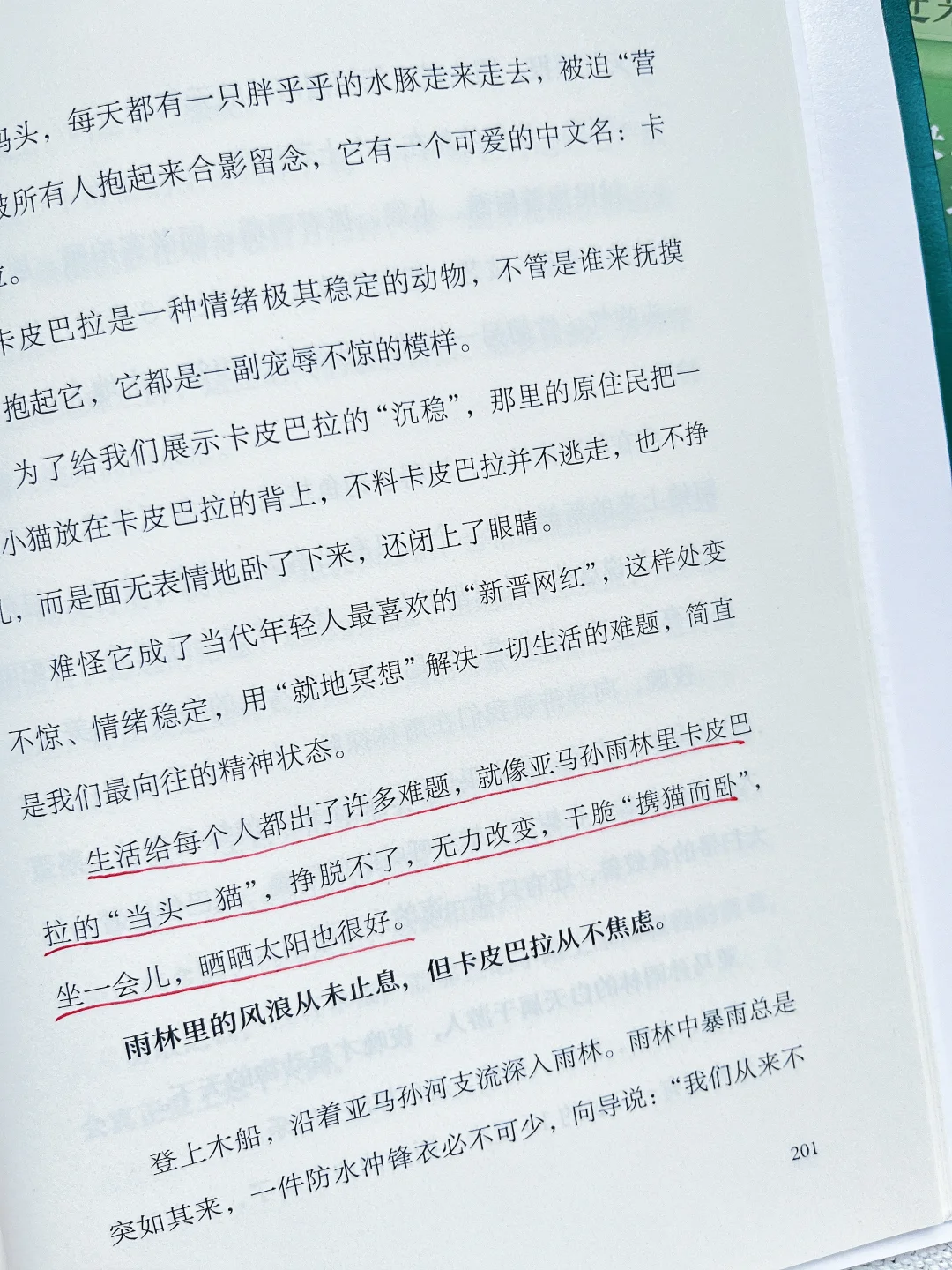 读完这本书，我和自己和解了💖