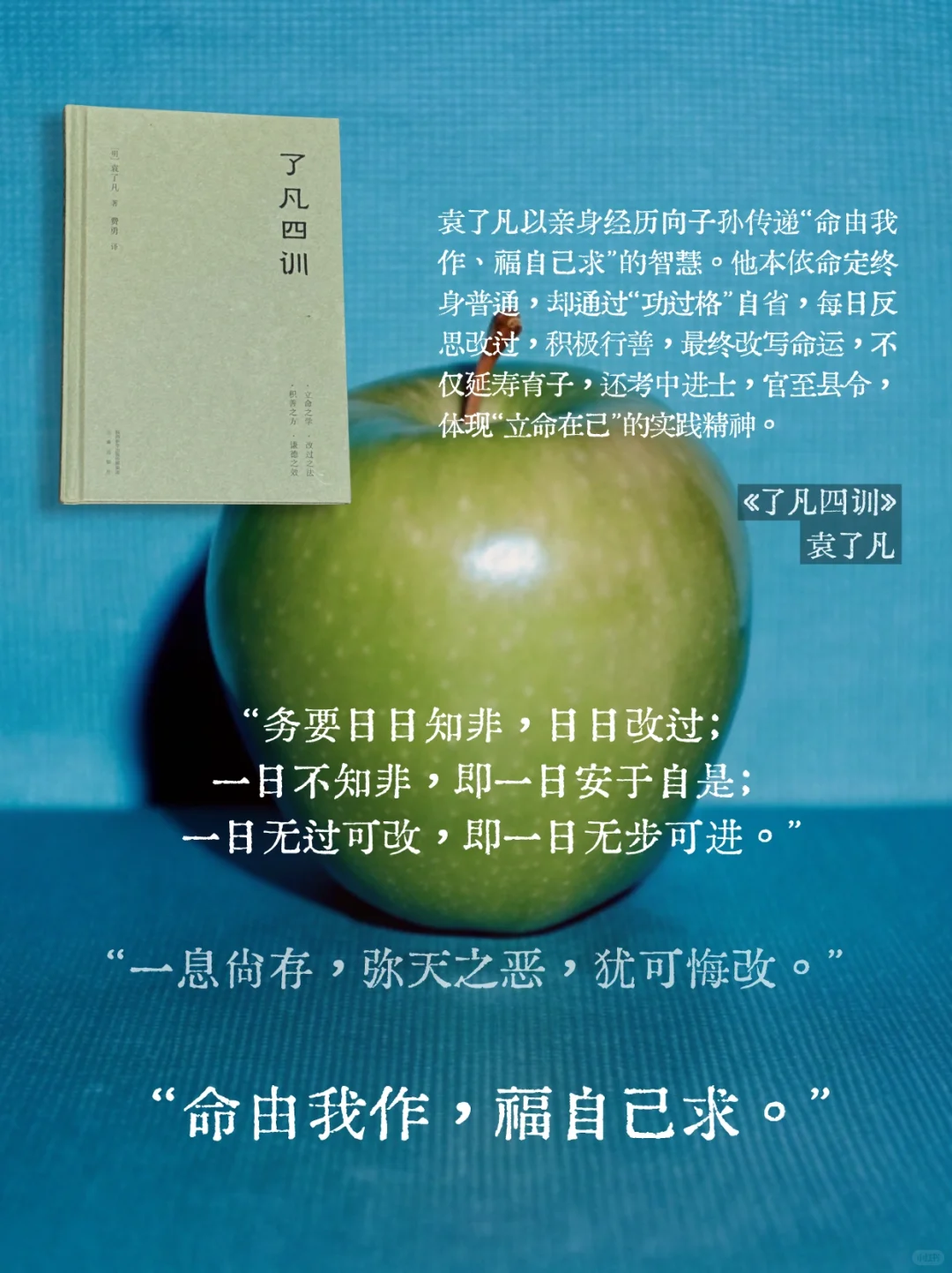 绿色 但完全不清新的书单🍏