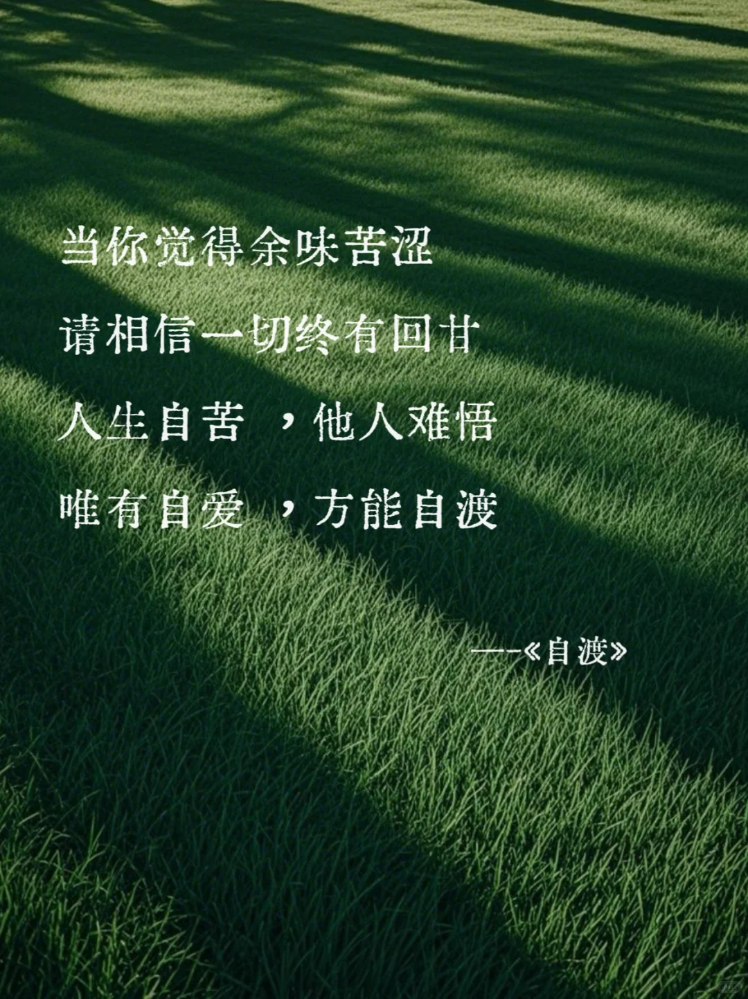 《自渡》墨多先生