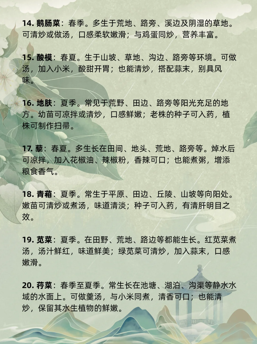 古言、年代文必码！50 种野菜大集合