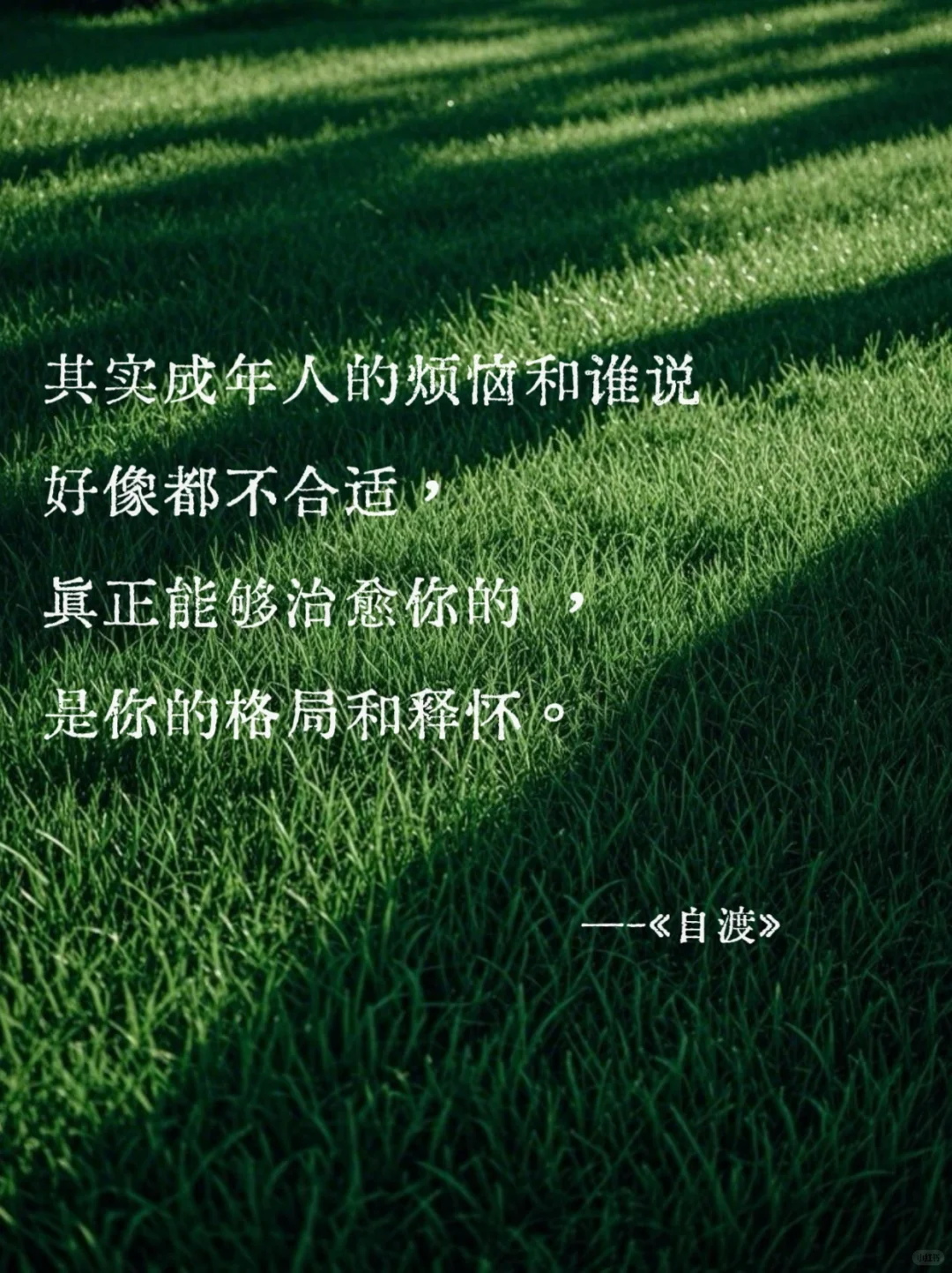 《自渡》墨多先生