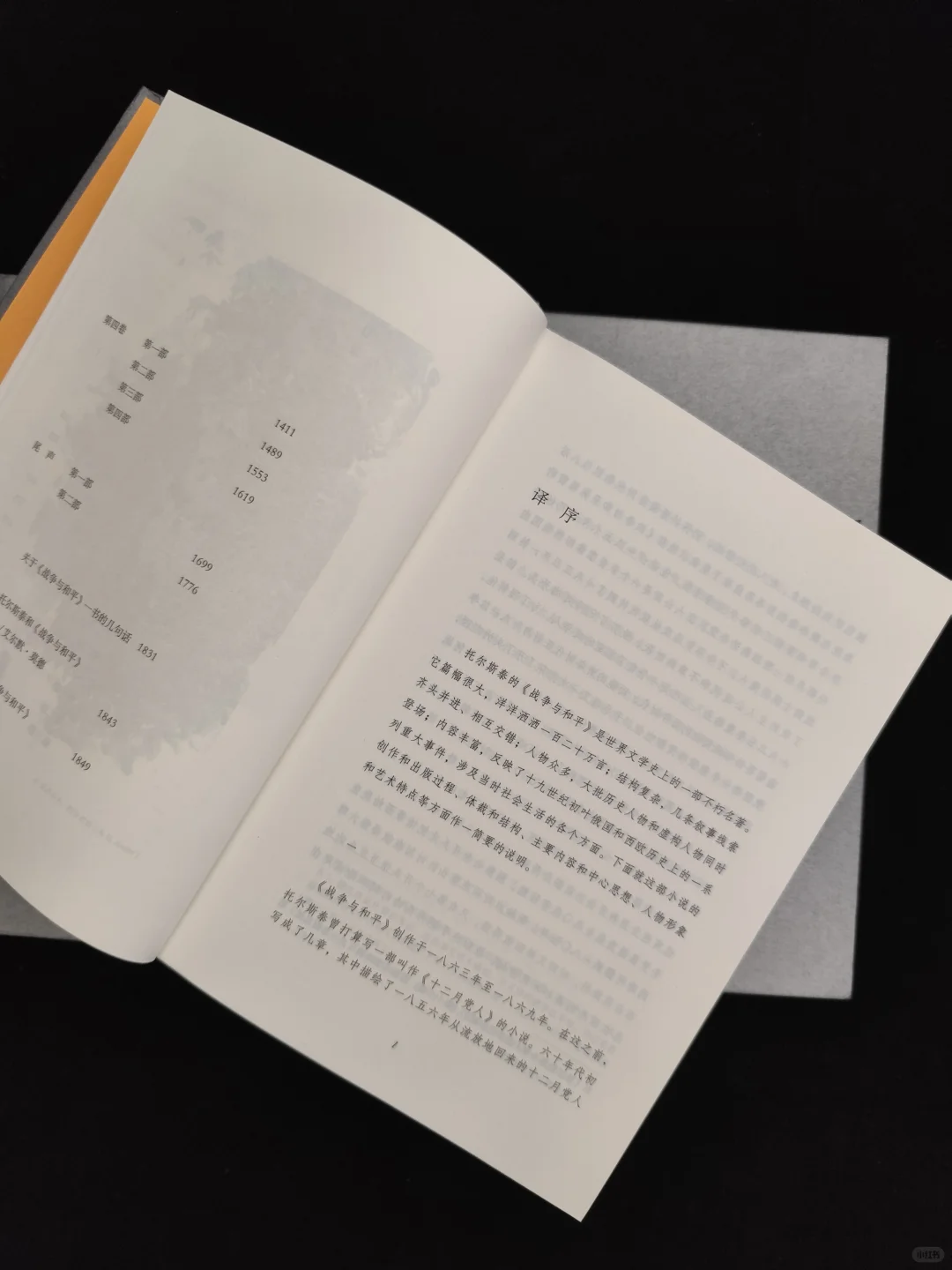读不完的托尔斯泰
