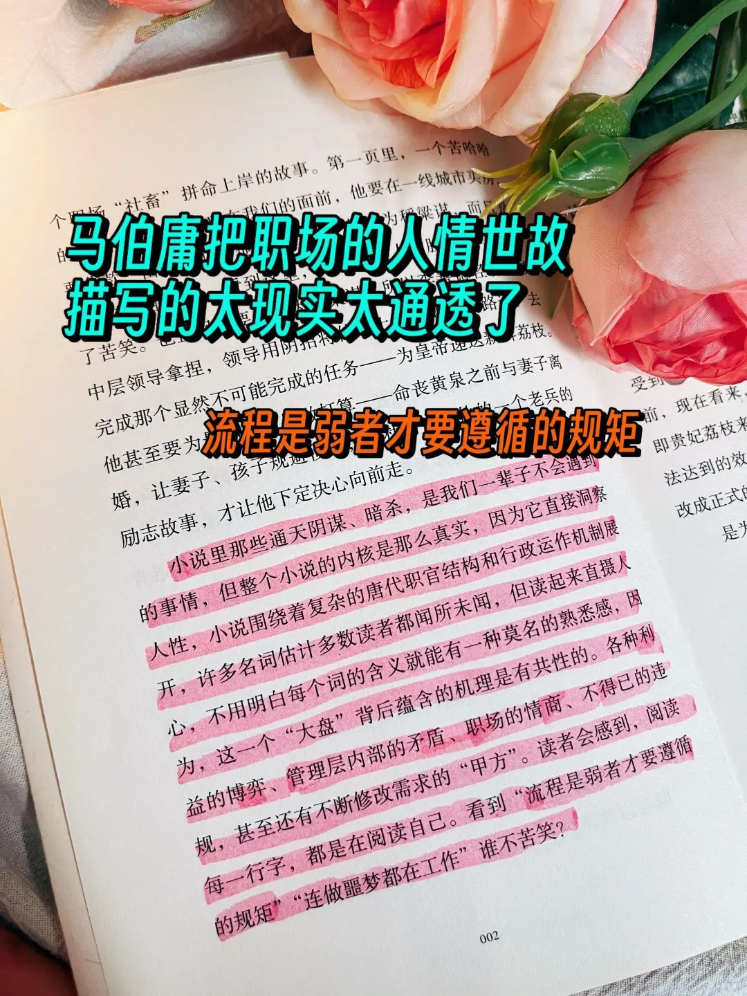 🔥马伯庸新书，小人物的生存之道，太上头