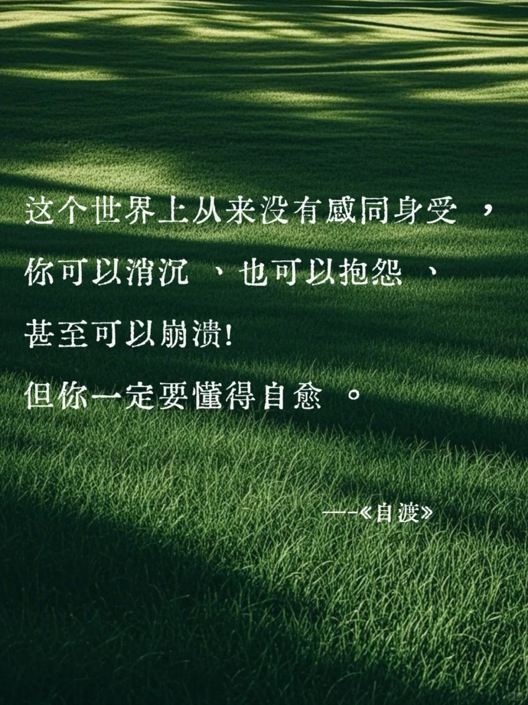 《自渡》墨多先生