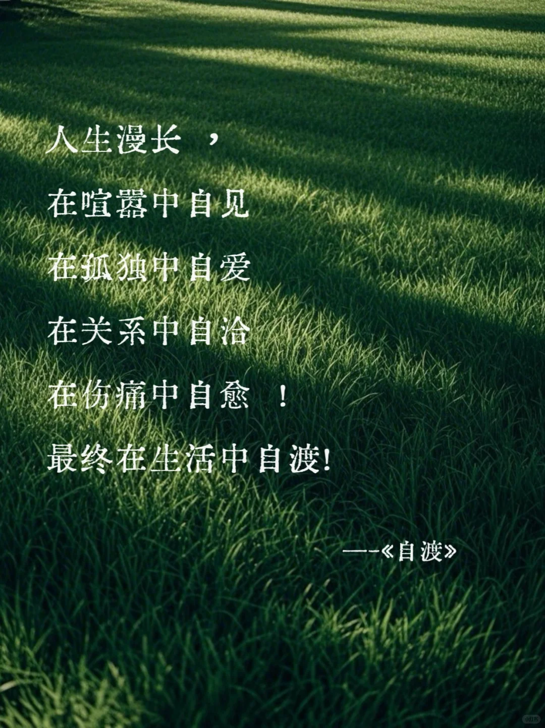 《自渡》墨多先生