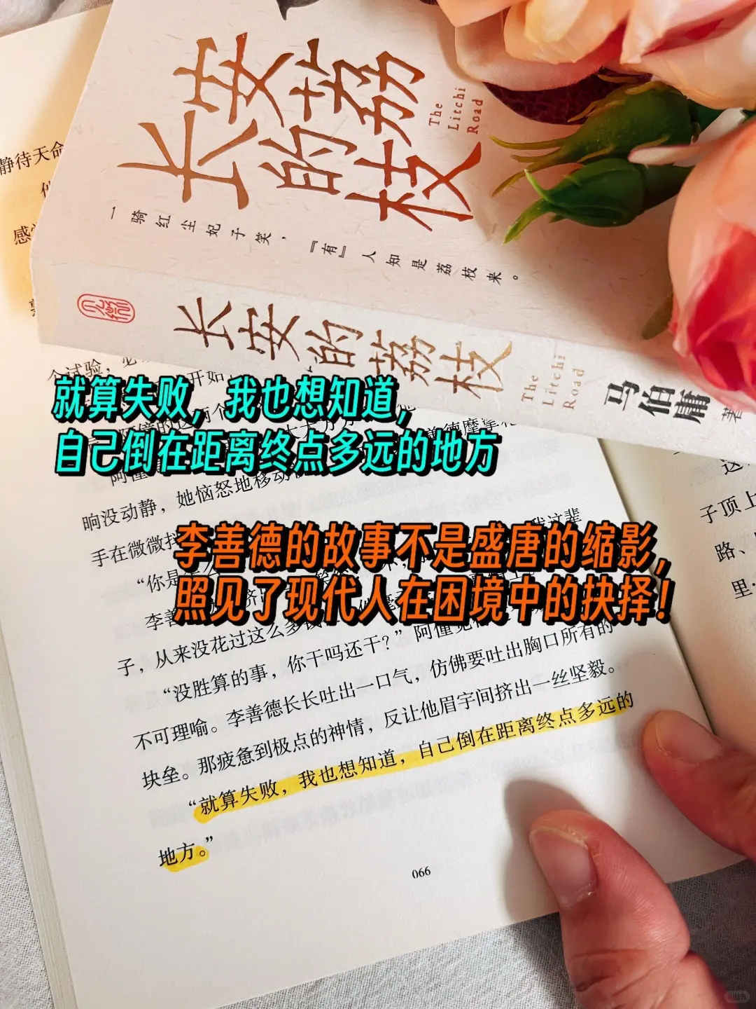 🔥马伯庸新书，小人物的生存之道，太上头